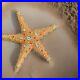 Estee-Lauder-Solid-Perfume-Compact-Shimmering-Star-Fish-Fragrance-Beautiful-01-tevy