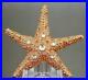 Estee-Lauder-Solid-Perfume-Compact-Shimmering-Starfish-Both-Boxes-01-tbtf